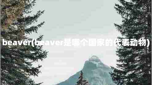 beaver(beaver是哪个国家的代表动物)