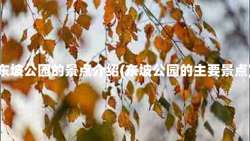 东坡公园的景点介绍(东坡公园的主要景点)