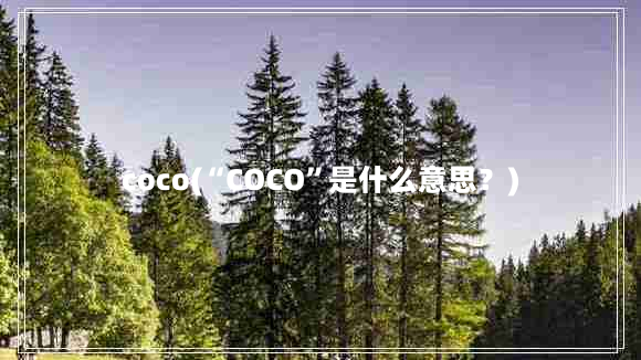 coco(“COCO”是什么意思？)