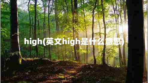 high(英文high是什么意思)