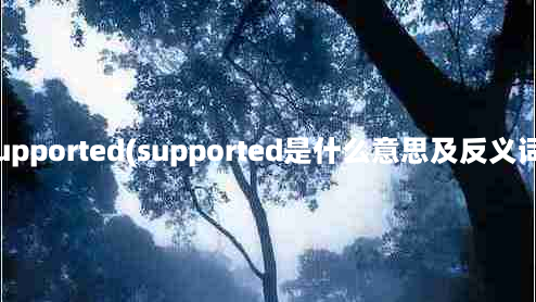 supported(supported是什么意思及反义词)