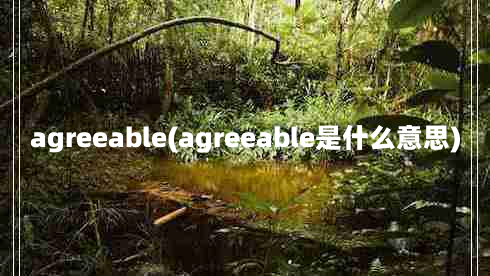 agreeable(agreeable是什么意思)