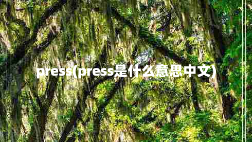 press(press是什么意思中文)