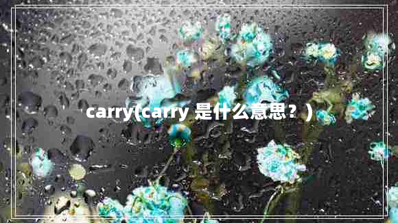 carry(carry 是什么意思？)