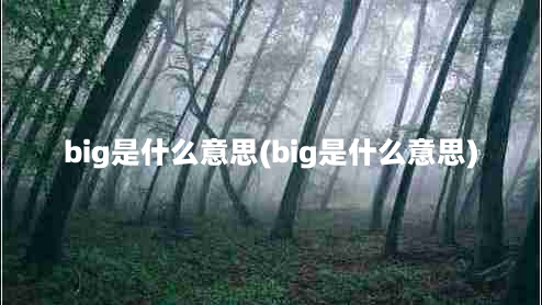 big是什么意思(big是什么意思)