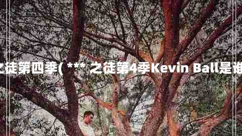  *** 之徒第四季( *** 之徒第4季Kevin Ball是谁演的)