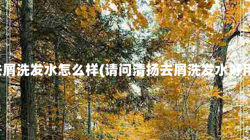 清扬去屑洗发水怎么样(请问清扬去屑洗发水好用吗？)