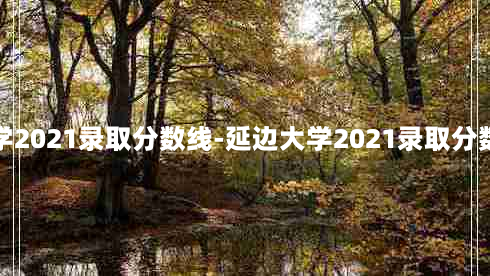 延边大学2021录取分数线-延边大学2021录取分数线理科