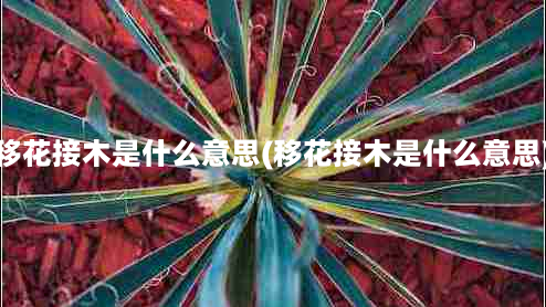 移花接木是什么意思(移花接木是什么意思)