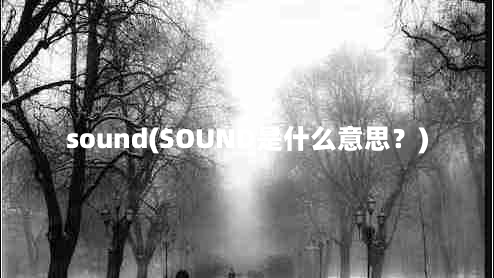 sound(SOUND是什么意思？)