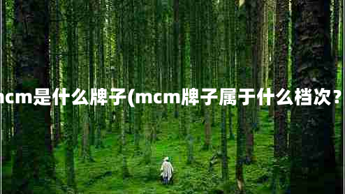 mcm是什么牌子(mcm牌子属于什么档次？)