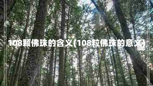 108颗佛珠的含义(108粒佛珠的意义)