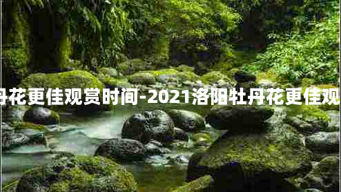 2021洛阳牡丹花更佳观赏时间-2021洛阳牡丹花更佳观赏时间是多少