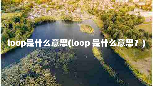 loop是什么意思(loop 是什么意思？)