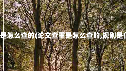 查重是怎么查的(论文查重是怎么查的,规则是什么)