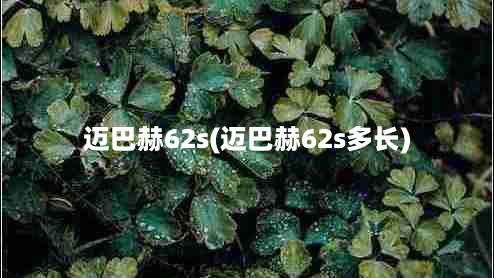 迈巴赫62s(迈巴赫62s多长)