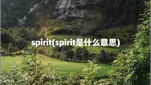 spirit(spirit是什么意思)