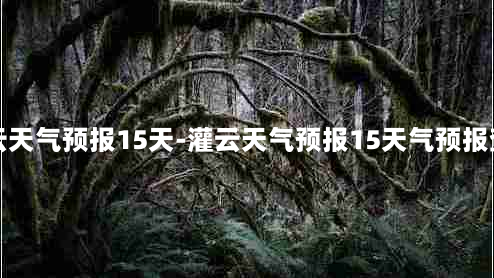 灌云天气预报15天-灌云天气预报15天气预报查询