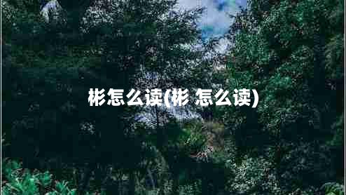 彬怎么读(彬 怎么读)