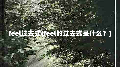 feel过去式(feel的过去式是什么？)