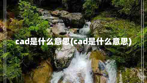 cad是什么意思(cad是什么意思)