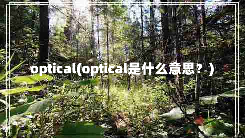 optical(optical是什么意思？)