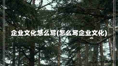 企业文化怎么写(怎么写企业文化)