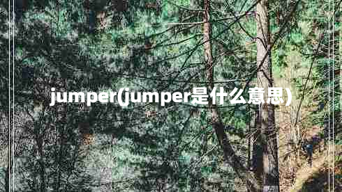 jumper(jumper是什么意思)