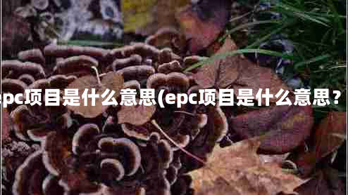 epc项目是什么意思(epc项目是什么意思？)