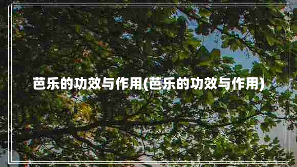 芭乐的功效与作用(芭乐的功效与作用)