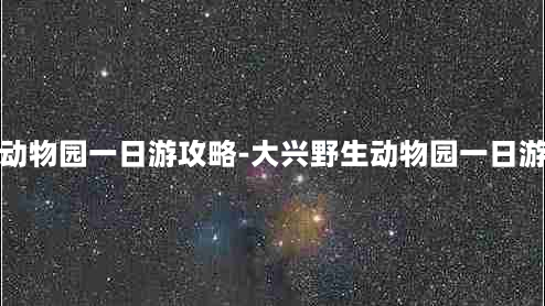 大兴野生动物园一日游攻略-大兴野生动物园一日游攻略图片