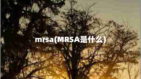 mrsa(MRSA是什么)