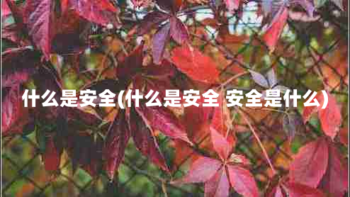 什么是安全(什么是安全 安全是什么)