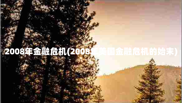 2008年金融危机(2008年美国金融危机的始末)