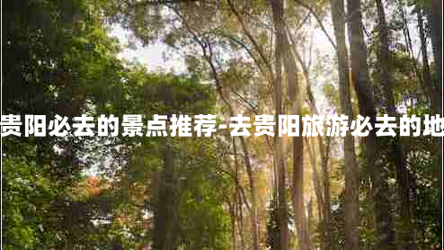 到贵阳必去的景点推荐-去贵阳旅游必去的地方