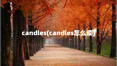 candles(candles怎么读)