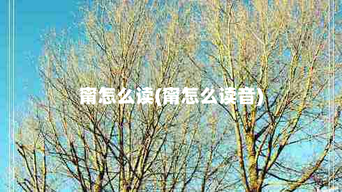 甯怎么读(甯怎么读音)