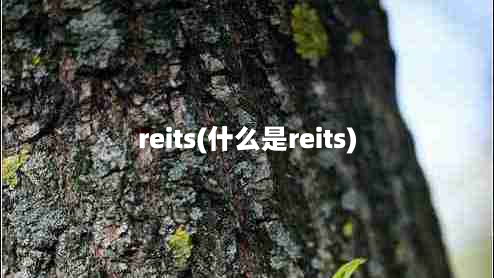 reits(什么是reits)