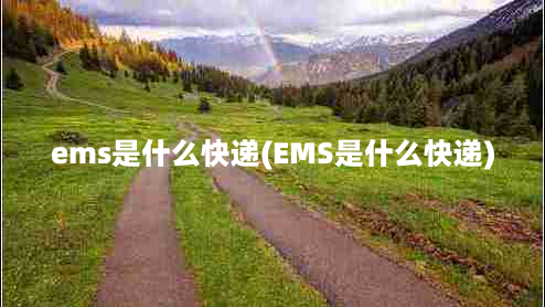 ems是什么快递(EMS是什么快递)