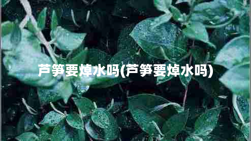 芦笋要焯水吗(芦笋要焯水吗)