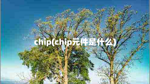 chip(chip元件是什么)