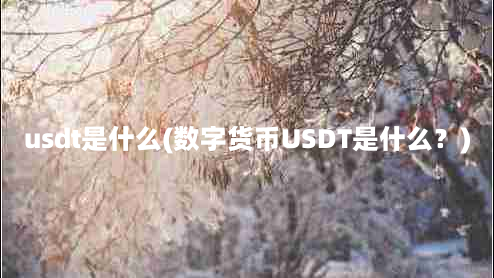 usdt是什么(数字货币USDT是什么？)