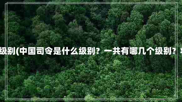 司令员是什么级别(中国司令是什么级别？一共有哪几个级别？将军有多大？)