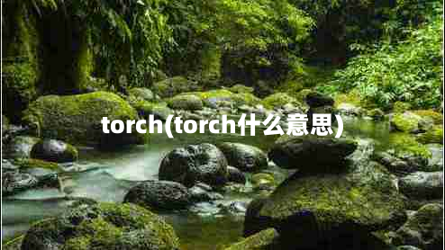 torch(torch什么意思)