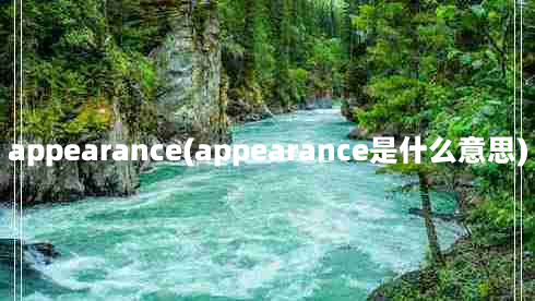 appearance(appearance是什么意思)