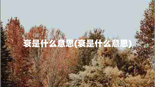 衰是什么意思(衰是什么意思)