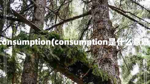 consumption(consumption是什么意思)