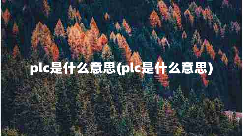 plc是什么意思(plc是什么意思)