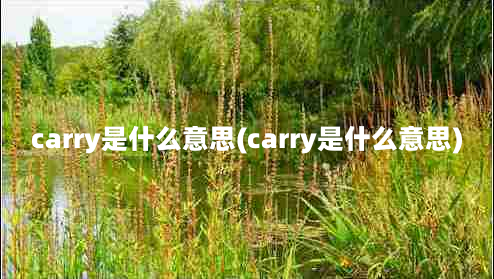 carry是什么意思(carry是什么意思)