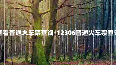 查看普通火车票查询-12306普通火车票查询